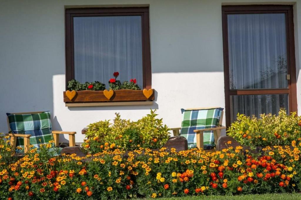 Apartamento Aspen Nová Lesná Exterior foto